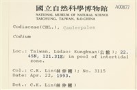 登錄號:A00000877藏品圖，第2張