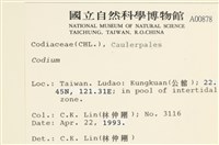 登錄號:A00000878藏品圖，第2張