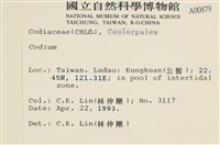 登錄號:A00000879藏品圖，第2張