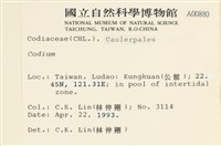 登錄號:A00000880藏品圖，第2張