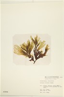 登錄號:A00000884藏品圖，第3張