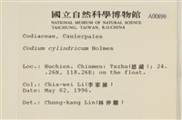 登錄號:A00000899藏品圖，第2張