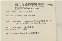 登錄號:A00000900藏品圖，第2張