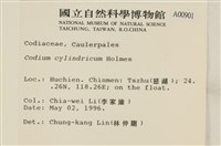 登錄號:A00000901藏品圖，第2張