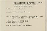 登錄號:A00000902藏品圖，第2張