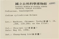 登錄號:A00000903藏品圖，第2張