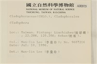 登錄號:A00000979藏品圖，第2張