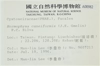 登錄號:A00000982藏品圖，第2張