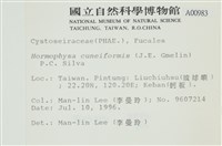 登錄號:A00000983藏品圖，第2張