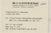登錄號:A00000984藏品圖，第2張