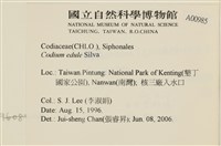 登錄號:A00000985藏品圖，第2張