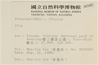 登錄號:A00001003藏品圖，第2張