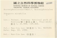 登錄號:A00001009藏品圖，第2張