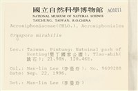 登錄號:A00001011藏品圖，第2張