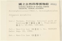 登錄號:A00001012藏品圖，第2張