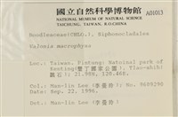 登錄號:A00001013藏品圖，第2張