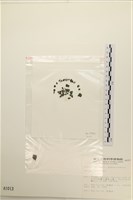 登錄號:A00001013藏品圖，第3張