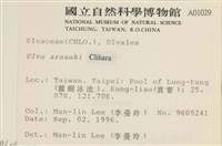 登錄號:A00001029藏品圖，第2張
