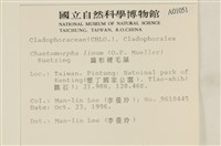 登錄號:A00001051藏品圖，第2張