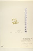 登錄號:A00001051藏品圖，第3張