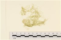 登錄號:A00001051藏品圖，第1張