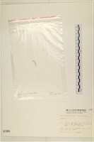 登錄號:A00001084藏品圖，第3張