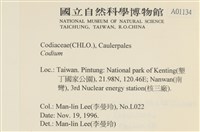 登錄號:A00001134藏品圖，第2張