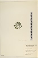 登錄號:A00001134藏品圖，第3張