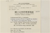 登錄號:A00001139藏品圖，第2張