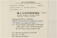 登錄號:A00001140藏品圖，第2張