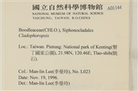 登錄號:A00001144藏品圖，第2張