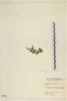 登錄號:A00001144藏品圖，第3張