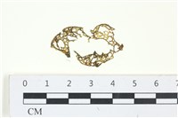 網胰藻藏品圖，第1張