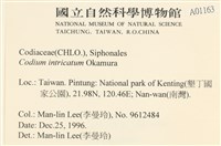 登錄號:A00001163藏品圖，第2張