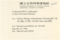 登錄號:A00001164藏品圖，第2張