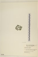 登錄號:A00001164藏品圖，第3張