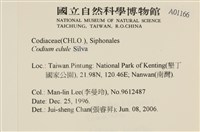 登錄號:A00001166藏品圖，第2張