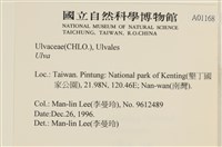 登錄號:A00001168藏品圖，第2張