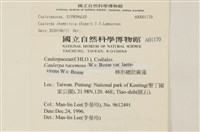 登錄號:A00001170藏品圖，第2張