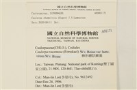 登錄號:A00001171藏品圖，第2張