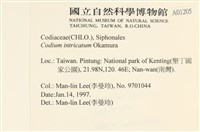 登錄號:A00001205藏品圖，第2張