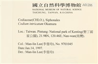 登錄號:A00001206藏品圖，第2張