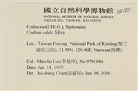 登錄號:A00001207藏品圖，第2張