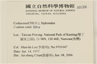 登錄號:A00001208藏品圖，第2張