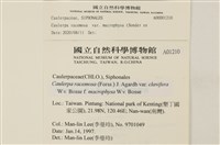 登錄號:A00001210藏品圖，第2張
