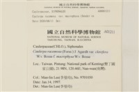 登錄號:A00001211藏品圖，第2張