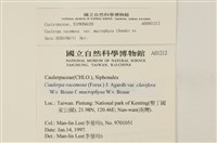 登錄號:A00001212藏品圖，第2張