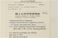 登錄號:A00001236藏品圖，第2張