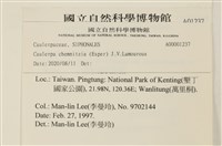 登錄號:A00001237藏品圖，第2張
