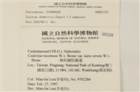登錄號:A00001238藏品圖，第2張